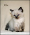 /album/aliz/aliz-6-hetes-001-jpg/